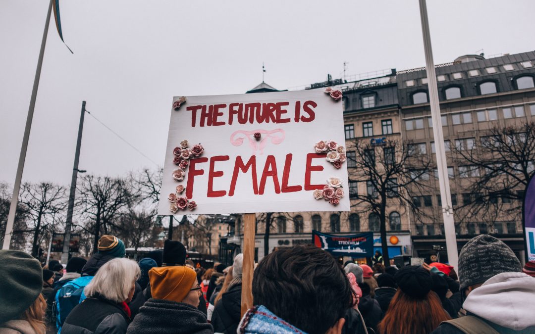 Look What She Made Me Do // Taylor Swift and Marketplace Feminism