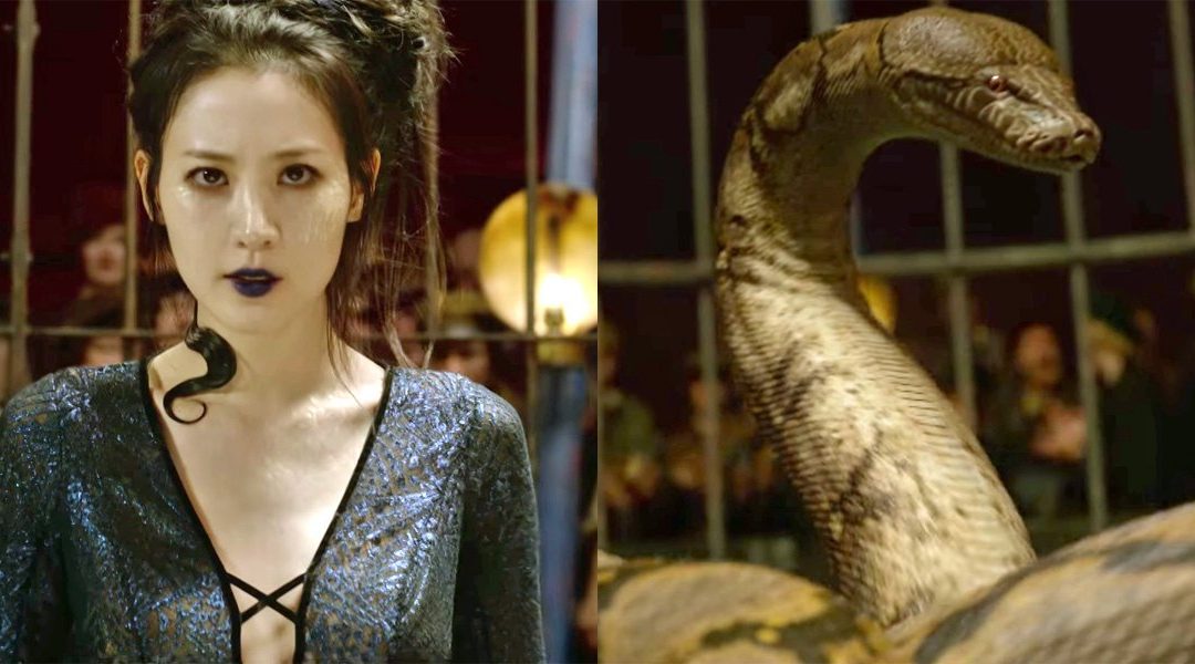 Fantastic Woke Points And Where To Find Them // The Faux Diversity of Harry Potter