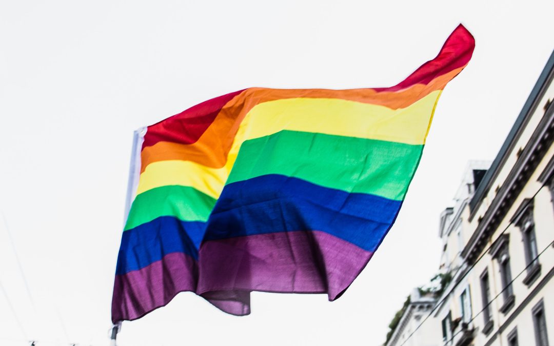 The Rainbow Wave // Women of Color &  LGBTQs Who Won the Midterms