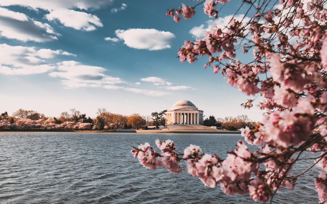 The Humanity of Our Elected Officials